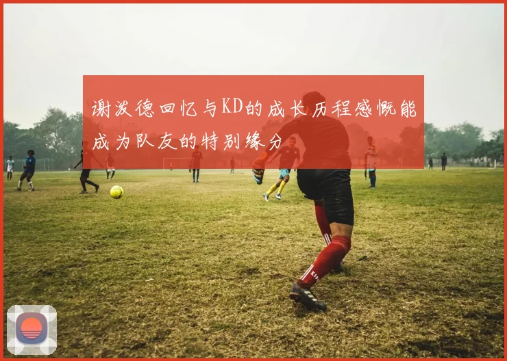 谢泼德回忆与KD的成长历程感慨能成为队友的特别缘分