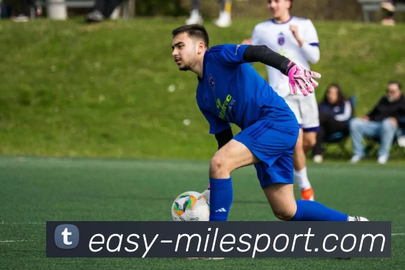 米乐体育APP 封面图